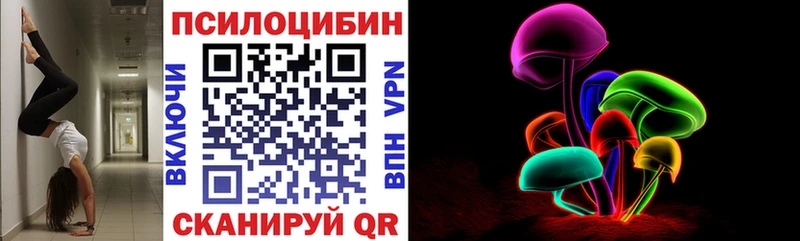 Псилоцибиновые грибы Cubensis  Купить закладки  Тында 