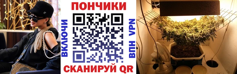 Купить  Тында  Конопля сатива 